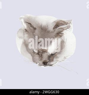 Schizzo astratto di gatto, macchie di stampe animali, belle forme del viso, tavolozza di colori pastello. Illustrazione acquerello di animali che dormono e che giace. Foto Stock