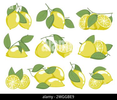 Limone e fiore. Bozzetto di rami di limone con frutta e foglie per la stampa, prodotto naturale biologico. Set isolato vettoriale. Prodotto sano con vitamina S per limonata o succo Illustrazione Vettoriale