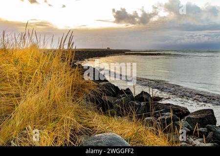 Vista panoramica sul lungolago scintillante e spazioso e sul confine in pietra lungo il lago con piante di erba secca alla luce del giorno Foto Stock