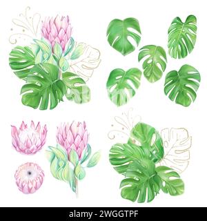 Set di illustrazioni ad acquerello, clipart, bouquet con protea rosa e foglie di monstera tropicale. Fiori romantici. Design hawaiano. Clipart esotico. L Foto Stock