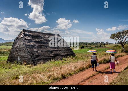 vita quotidiana a vinales, cuba Foto Stock