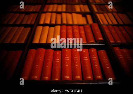 Libri di legge francesi con copertina rigida d'epoca con scritte dorate su una libreria di legno scuro, per un'atmosfera classica da biblioteca. Foto Stock