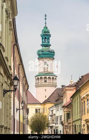 Torre dei vigili del fuoco a Sopron, Ungheria, Europa. Foto Stock