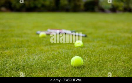 palle da tennis e racchette sul campo in erba verde Foto Stock