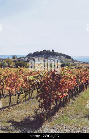 Aziende vinicole di Ysios con la città di LaGuardia ad Alava, in Spagna, il 21 ottobre 2021 Foto Stock