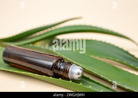 Rotolo di olio essenziale su bottiglia con foglie di aloe vera su sfondo color crema Foto Stock