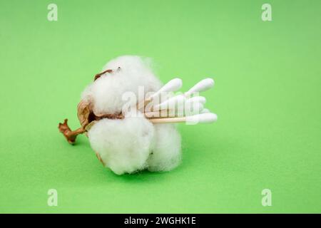 Bastoncini di cotone in un fiore di cotone su sfondo verde, messa a fuoco morbida primi piani Foto Stock