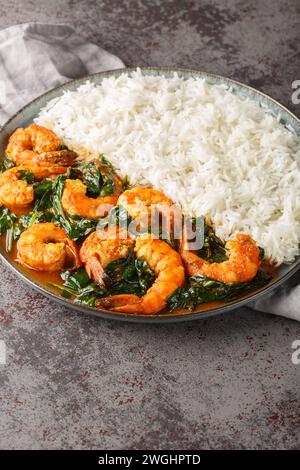 Gamberi Saag è un curry saporito realizzato con succosi gamberi, cipolla, aglio, zenzero, spinaci e spezie aromatiche servito con il primo piano di riso sul piatto Foto Stock