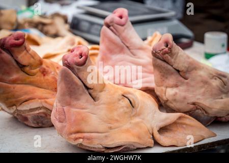 Quattro teste di maiale sono appese a un tagliere di metallo in mezzo a un assortimento di deliziosi prodotti alimentari Foto Stock