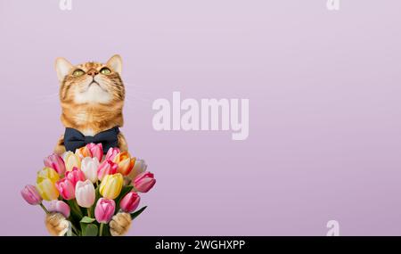 Gatto con un mazzo di tulipani per il compleanno e la festa della mamma. Copia spazio. Foto Stock