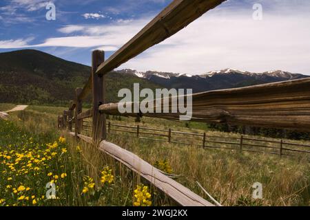 Recinzione in legno nel paesaggio montano con fiori in fiore Foto Stock