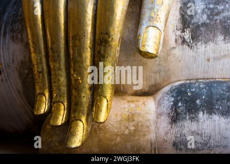 Quattro gambe dorate su un tavolo di cemento Foto Stock