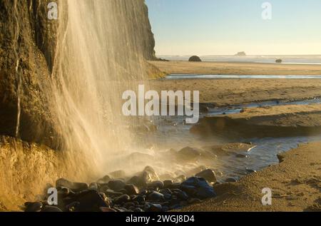 Spiaggia cascata, abbraccio Point State Park, Oregon Foto Stock