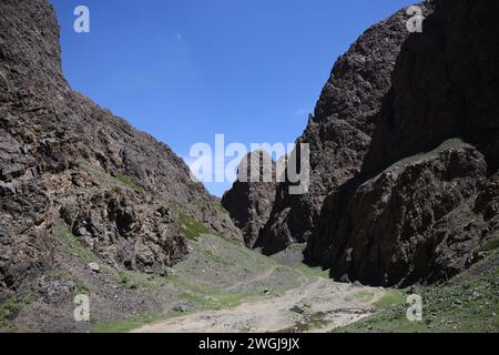 Vista di Yolyn am il fantastico george in Mongolia Foto Stock