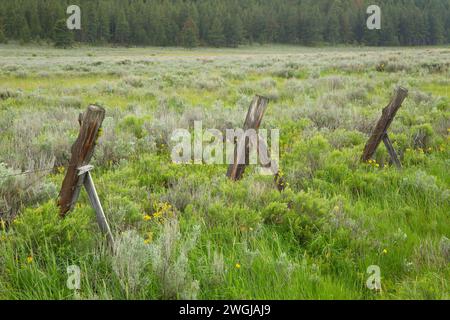 Recinzione in Camas Prairie, Fremont National Forest, Oregon Foto Stock