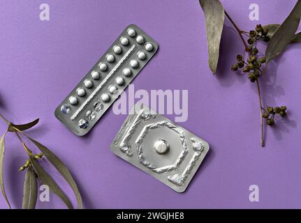 Due diverse confezioni di pillole contraccettive su sfondo di carta colorata con foglie di eucalipto, vista dall'alto. Pacchetto mensile e pillola del giorno dopo. Foto Stock