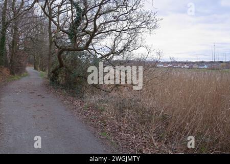 Il Wivenhoe Trail corre tra la stazione ferroviaria di Wivenhoe e Hythe Quay a Colchester con il fiume Colne. Foto Stock