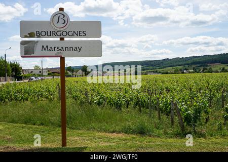 Marsannay, Bourgogne, Francia - 12 giugno 2021: Insegna di Borgogna di fronte ai vigneti tradizionali della famosa regione vinicola che produce i migliori vini del Foto Stock