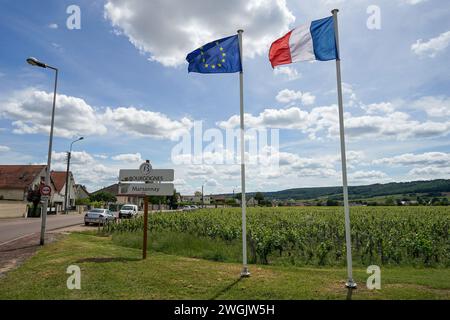 Marsannay, Bourgogne, Francia - 12 giugno 2021: Vigneti tradizionali nella famosa regione vinicola della Borgogna che produce i migliori vini del mondo Foto Stock