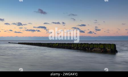 Banchina in legno nel Mare di Wadden vicino all'Olanda settentrionale sotto un cielo colorato durante il tramonto. Le alghe verdi colorano vivacemente sotto la luce del sole durante la bassa t Foto Stock