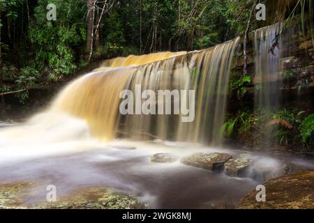 Cascata Giluk a Maliau Basin Sabah Borneo Malesia Foto Stock