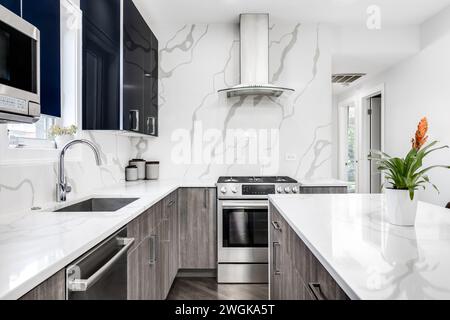 Una cucina moderna con mobili in legno e blu lucido, elettrodomestici in acciaio inossidabile, un piano di appoggio in marmo e un backsplash. Nessun marchio o logo. Foto Stock