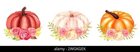 Set autunnale con zucche, fiori e foglie. Set autunnale di elementi su sfondo bianco isolato. Foto Stock