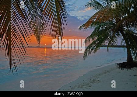 VilAmendhoo, Maldive, un'isola tropicale nell'Oceano Indiano Foto Stock