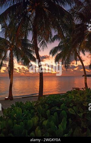 VilAmendhoo, Maldive, un'isola tropicale nell'Oceano Indiano Foto Stock