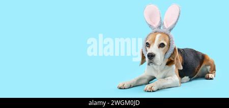 Simpatico cane Beagle che indossa orecchie da coniglio su sfondo azzurro con spazio per il testo. Festa di Pasqua Foto Stock