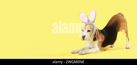 Simpatico cane Beagle che indossa orecchie da coniglio su sfondo giallo con spazio per il testo. Festa di Pasqua Foto Stock