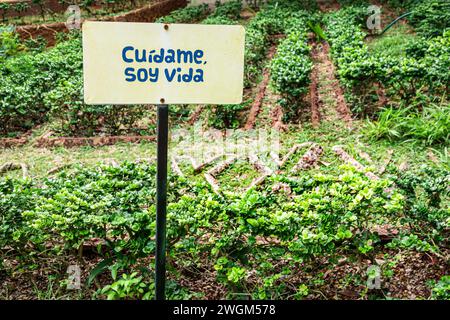 Merida Mexico, Parque Zoologico del Centenario, parco pubblico centenario, io sono la vita prenditi cura di me, umorismo, tenere lontano cespugli erba, cartello, Mexican Hispan Foto Stock