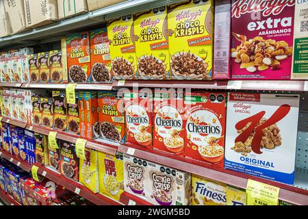 Merida Mexico, Barrio de Santiago Centro, Calle 72, Super Aki Santiago, supermercato, mercato alimentare, business, corridoio, interni Foto Stock