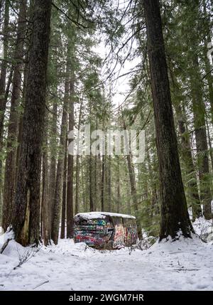 La natura reclama gli abbandonati: Un vagone ferroviario deragliato adornato da vibranti graffiti annidato nei boschi di Whistler, British Columbia. Foto Stock