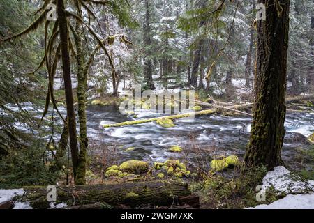 Winter Wonderland: Una serena ripresa del fiume Mackenzie in Oregon durante un'escursione mozzafiato. Foto Stock