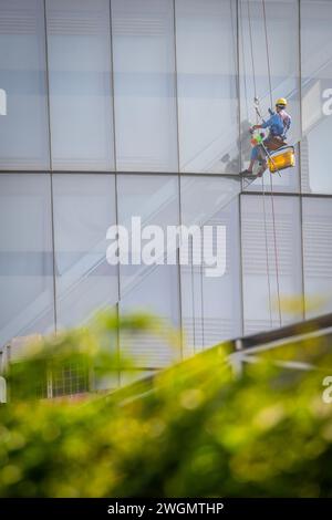 22 gennaio 2024: I lavoratori puliscono il vetro su edifici alti a ho chi Minh City, Vietnam Foto Stock