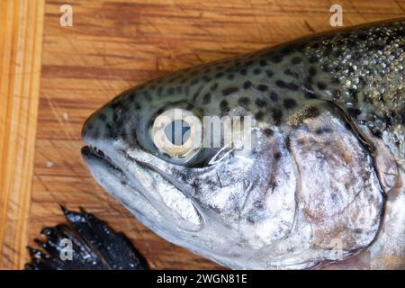 Testa di pesce crudo crudo e crudo su un tavolo di legno da cucina, primo piano verso il basso Foto Stock