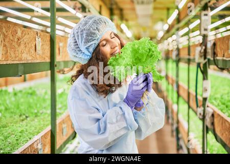 Il giardiniere femminile che odora le foglie di lattuga verde in serra. Donna in guanti di gomma da giardino che tiene pentola con piante verdi e gode profumo di foglia aromatica fresca. Foto Stock