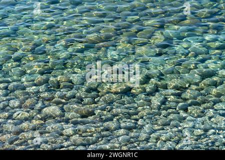 Soleggiato paesaggio sul mare che mostra una riva con molti ciottoli visti in Italia Foto Stock