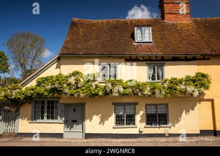 Regno Unito, Inghilterra, Essex, Dedham, Brook Street, wisteria all'esterno della casa storica Foto Stock