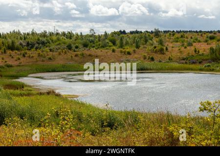 riserva naturale fairburn ings Foto Stock