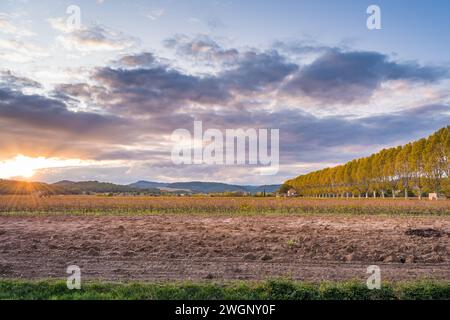 Vista panoramica del vigneto in Provenza sud della Francia contro il tramonto drammatico autunno Foto Stock