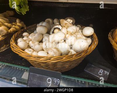 funghi in vendita nel cestino del supermercato Foto Stock