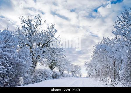 Tranquilla strada di campagna in campagna nella Cumbria, Inghilterra, dopo le forti nevicate invernali. Alberi e siepi ricoperti di neve e neve profonda sulla strada. Foto Stock