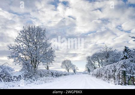 Tranquilla strada di campagna in campagna nella Cumbria, Inghilterra, dopo le forti nevicate invernali. Alberi e siepi ricoperti di neve e neve profonda sulla strada. Foto Stock