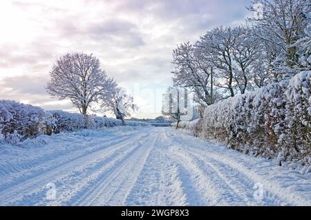 Tranquilla strada di campagna in campagna in Cumbria, Inghilterra, dopo forti nevicate. Alberi e siepi ricoperti di neve e piste per veicoli innevati sulla strada. Foto Stock
