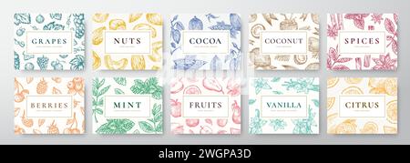 Set di carte per dadi, spezie, bacche, frutta e cocco disegnati a mano. Abstract Vector Sketch Cover Sfondi Collection con elegante retro Typography. Cibo Illustrazione Vettoriale