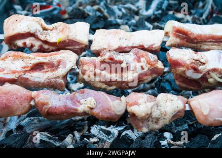 preparazione di uno shish kebab a base di carne di maiale su carbone Foto Stock