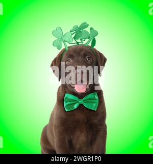 St La festa di Patrick. Simpatico cucciolo al cioccolato Labrador con fascia in foglie di trifoglio e papillon su sfondo verde Foto Stock