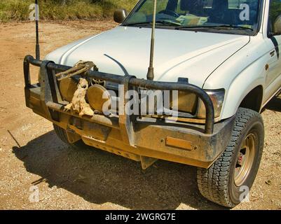 Davanti a un SUV con macchie di fango, bar di canguri decorato con il teschio di un coccodrillo australiano, in una roadhouse nell'entroterra dell'Australia Occidentale Foto Stock